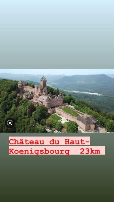 Kunheim La Grange Proche D'Europapark 아파트 외부 사진